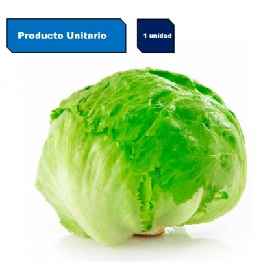 LECHUGA ESCAROLA UNIDAD